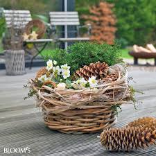 Zum Muttertag Geschenk Mit Herz Selber Machen Winterpflanzen Pflanzen Und Schoner Blumengarten
