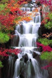Taman nasional yosemite memiliki panorama pemandangan alam asli air terjun yang sangat indah. Pemandangan Air Terjun Pada Saat Musim Gugur Air Terjun Air Pemandangan