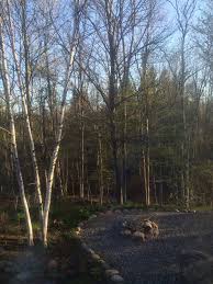 Leah Buchsbaum (@leah_buchsbaum)