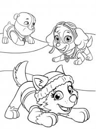 Connect other paw patrol track sets and create all new adventures (each sold separately). Rubble Paw Patrol Coloring Lesson Kids Coloring Page Coloring Lesson Free Printables And Coloring Pages For Kids