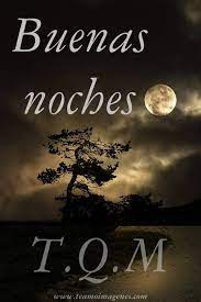 20 Imagenes De Buenas Noches Para Whatsapp Gratis Imagenes De Amor Gatitos Amist Imagenes De Buenas Noches Postales De Buenas Noches Citas De Buenas Noches