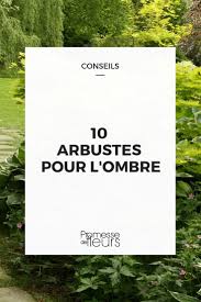 Quelles espèces de plantes d'ombre cultiver dans nos jardins. Arbuste D Ombre 10 Varietes Indispensables Au Jardin