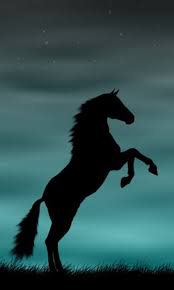 Horse Wallpapers Android Apps On Google Play Horse Silhouette Horse Wallpaper Horse Background