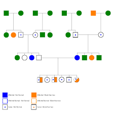 Symbols Pedigree Breeding Better Dogs