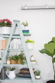 Do it yourself home improvement projects for garden and homestead. How To Create A Diy Ladder Shelf Hgtv