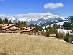 Sie möchten eine wohnung mieten? Anzeige Vermietung Wohnung Saanenmoser 3777 Ref L0426gs