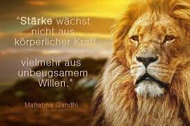 Spruche Und Zitate Dieter Hinterkorner Lebensenergie Gesundheit Und Vitalitat