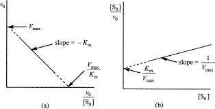 Introduction To Enzyme Kinetics Enzyme Kinetics Is The Study Of The  Chemical Reactions That Are Catalysed By Enzymes, With A Focus On Their  Reaction Rates. - Ppt Download