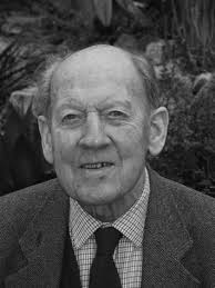 Image result for Brachystegia michelmorei