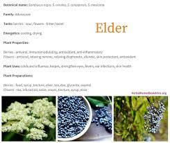 Maybe you would like to learn more about one of these? Elderberry Benefits Elderflowers For The Skin