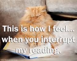 Image result for reading books memes
