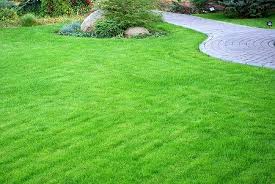 Green team lawn care is a small, locally owned company that provides high quality lawn care services in traverse city, michigan. Greengrass Blog Lawn Care And Landscaping Tulsa Best Lawn Care Company
