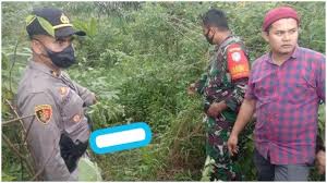 Sertifikat digital langsung terkirim setelah kamu menyelesaikan tes. Nz8wmf0azfwbwm