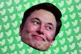 How to surprise your boyfriend with fatherhood. Elon Musk S Deranged Quarantine Fatherhood Trump And Twitter Memes Teller Report