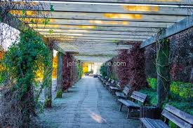 Botanischer garten ticket price, hours, address and reviews. Jefs Fotogalerie Stockphoto Botanischer Garten Solingen Bergisches Land