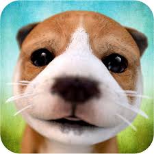 Download Ipa Apk Of Dog Simulator 2015 For Free Http Ipapkfree Download 2985 Dogs Your Dog Big Dogs
