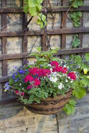 These are the best to use. 20 Best Hanging Plants Easy Plants For Hanging Baskets
