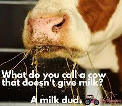 Pin By Lori Panzer On Stuff Funny Jokes For Kids Stupid Jokes Silly Jokes