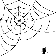✓ free for commercial use ✓ high quality images. Best Spider Web Png 21468 Clipartion Com