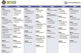 renal diet menu samples dr ians 30 day meal plan by