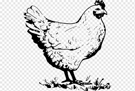 It adds several blocks designed to easily automate collecting drops from chickens and their breeding. Barbecue Chicken Buffalo Wing Fried Chicken Rooster Printable Animals Chicken Meat Galliformes Png Pngwing