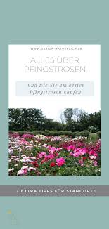 Ein Besuch In Der Pfingstrosengartnerei Von Steffen Schulze Stilvolles Design Einfach Gepflanzt Garten Gartnerei Pflanzen