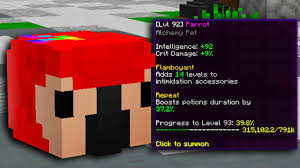 Is the ghoul pet op!? Lvl 1 Pet To Lvl 92 Hypixel Skyblock Youtube