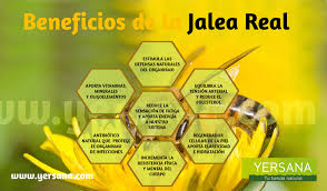 Resultado de imagen de jalea real