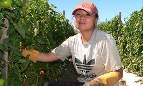2019 malaysian how to apply work and holiday to australia. Malaysians Can Earn Up To Rm12k Per Month Working In Australian Farms
