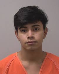 Marathon County Felony Gallery for July 5, 2024