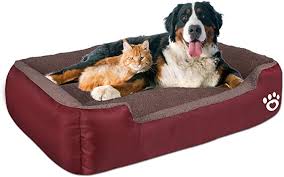 These beds are expected to provide comfort, security, relief, and peace when dogs find themselves cuddling up into. Amazon Com Latest 2020 Warming Pet Dog Beds For Medium Large Dog Rectangle Pet Bed Thickened Enough With Soft Cor Dog Pet Beds Dog Bed Large Round Dog Bed