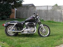 Fork Boots The Sportster And Buell Motorcycle Forum Buell Motorcycles Motorcycle Sportster