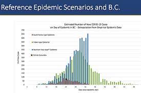 That's how covid spread at the white house last year. B C Covid 19 Contact Restrictions Working Dr Bonnie Henry Says Abbotsford News