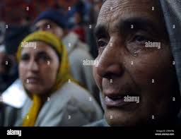 Groups of shells hi-res stock photography and images