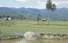 Things to do near lore lindu national park. Lindu People Wikipedia