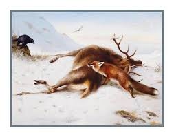 Naturalist Thorburns Fox Deer Not For Larder Counted Cross