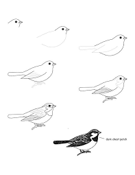 Small Flying Bird Drawing For Kids Pin By Cassidy Webb On Art Survery Inspiration Bird Drawings Animal Drawings Drawings