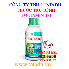 Fortamin 3SL
