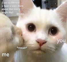 Blessed I Tell U Luvicle Cute Cat Memes Love Memes Love You Meme