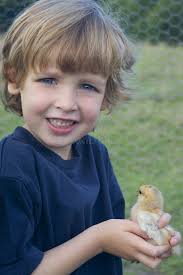 Niño con Pollo foto de archivo. Imagen de granja, pollos