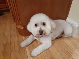 Grateful for the support of our team