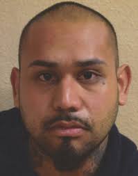 Sex Offender Details ID 676