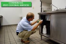We begin pest control services on annual contract basis or simply one spot treatment at a really affordable rate and therefore the expenditure of our service is incredibly. Commercial Pest Control Company Office Pest Control Commercial Pest Control Services In Bangalore Specific Home Services