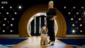 Pooch perfect is great folding laundry tv because it's light and fun. Pooch Perfect Trailer Metro Video