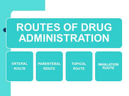 Commonly used routes of drug administration. Medication Medication Administration Ppt Video Online Download