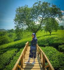 Dan saya memilih lewat singosari, sebelum berbelok arah, saya dan suami sempat bertanya pada tukang ojek yang lagi berkumpul di pangkalan. Kebun Teh Wonosari Tiket Masuk Fasiitas Sejarah Spot Foto Terbaru