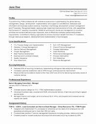 Pin Di Resume Templates