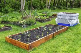 Building a raised bed is an easy weekend activity that will reap the rewards of homegrown fruits and veggies, as well as boost your diy morale. How To Create Your Own Fruit And Vegetable Garden