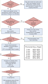 nals neonatal resuscitation algorithm nals medtx