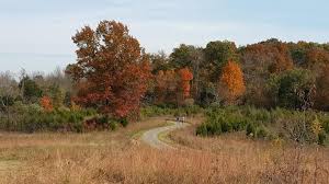 Turkey run park trail map. Turkey Run Park The Parklands Of Floyds Fork